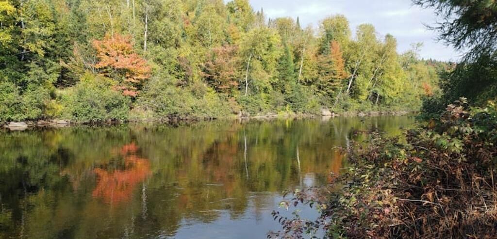 Photo of Others in Riviere-a-Pierre