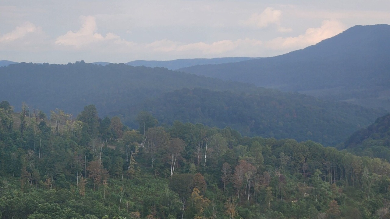 Photo of Others in North Fork