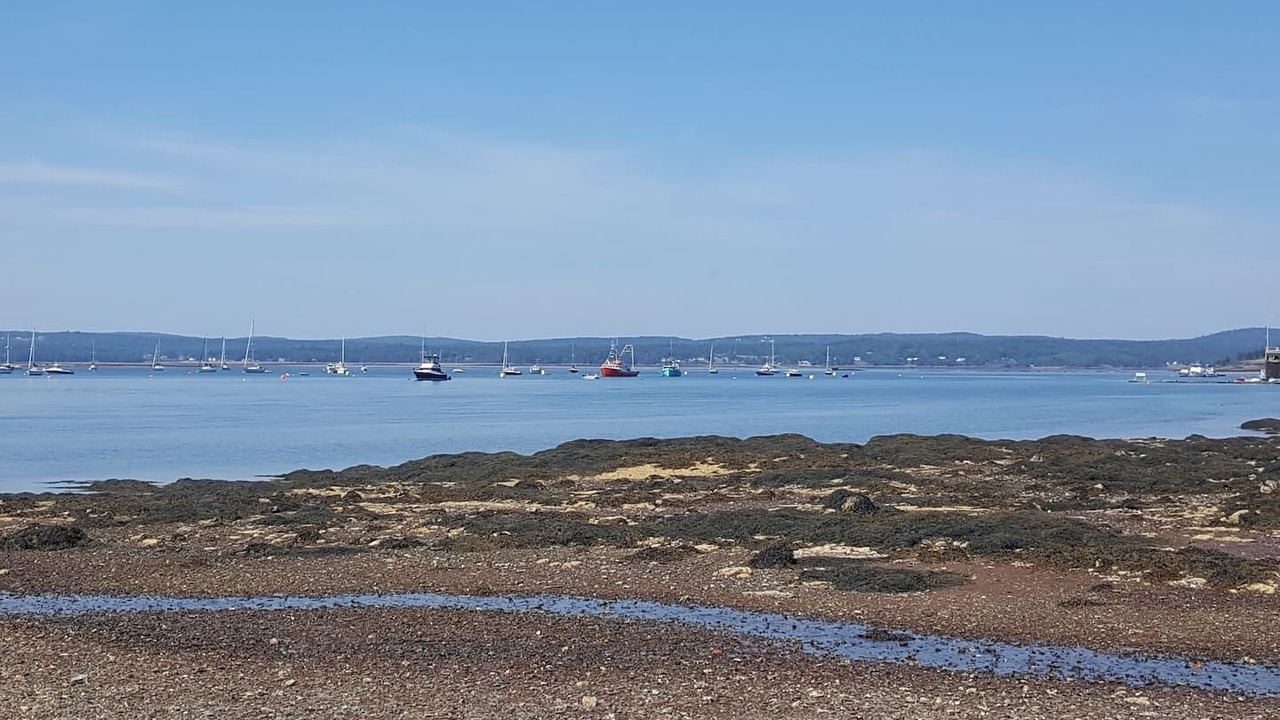 Photo of Others in St. Andrews
