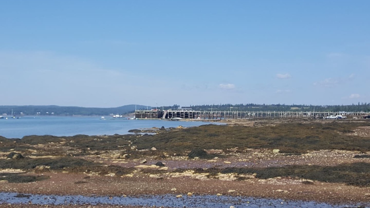 Photo of Others in St. Andrews