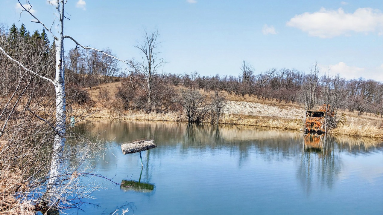Photo of Others in Scugog