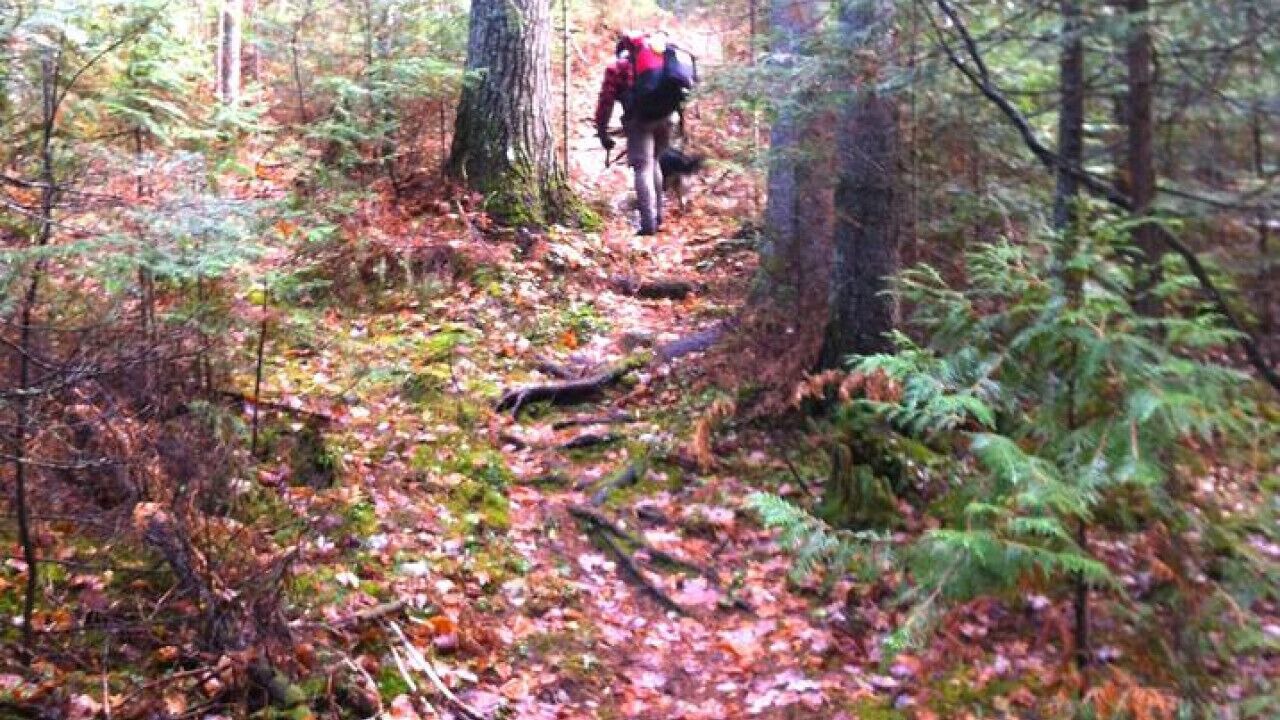 Photo of Others in Algoma District