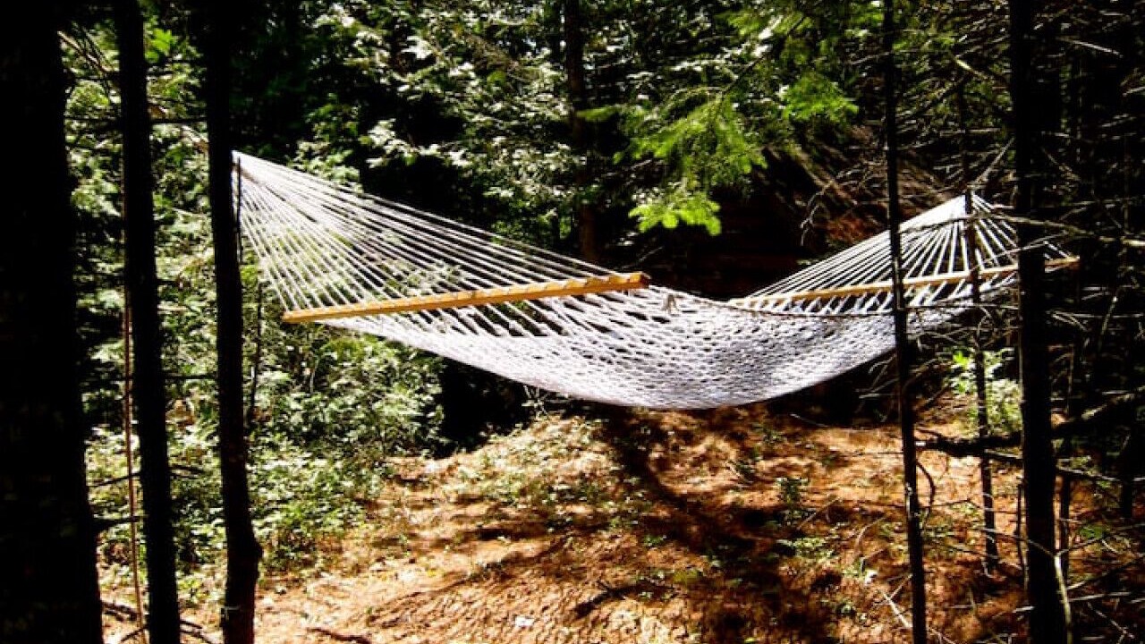 Photo of Outdoor in Algoma District