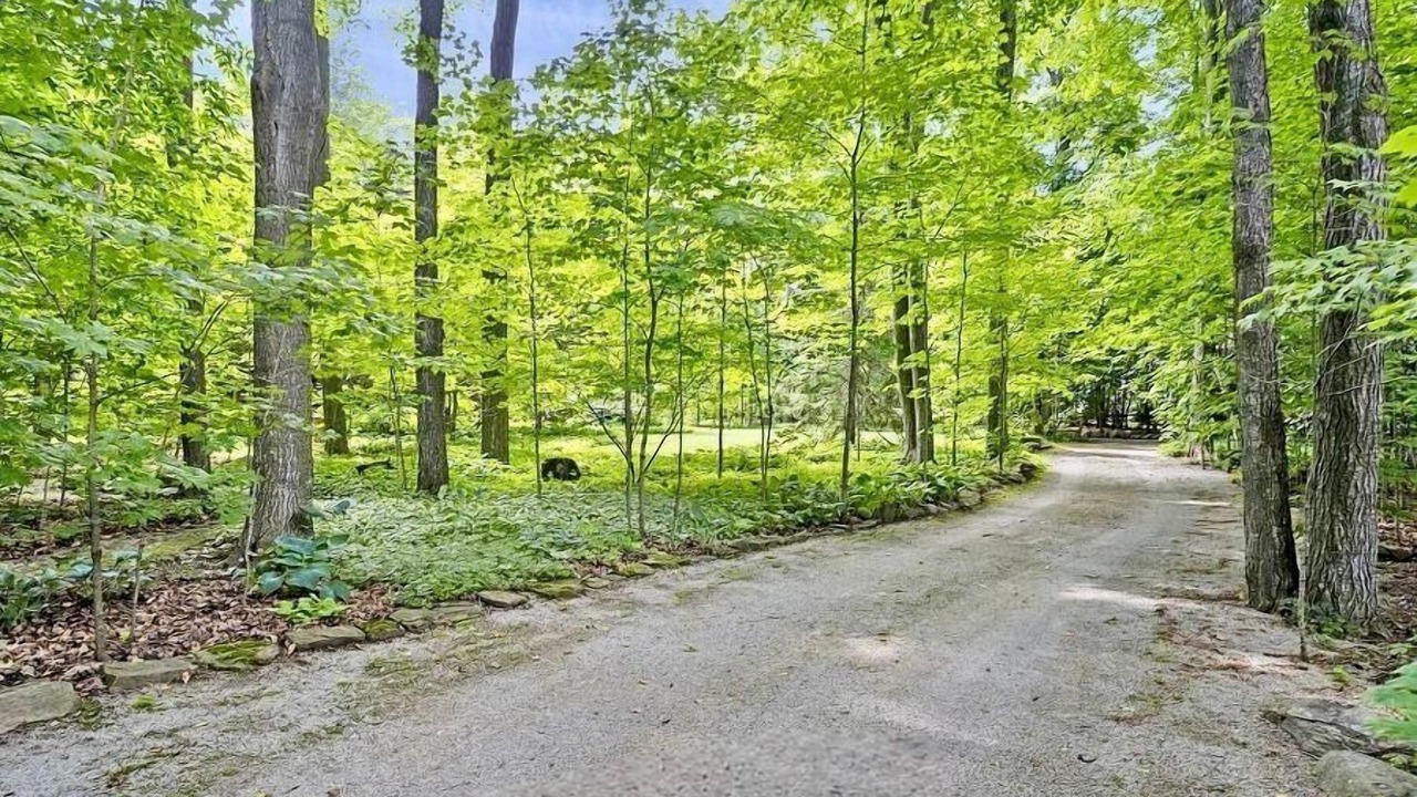 Photo of Others in Bradford West Gwillimbury