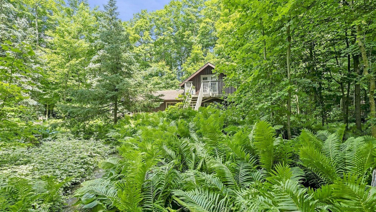 Photo of Outdoor in Bradford West Gwillimbury