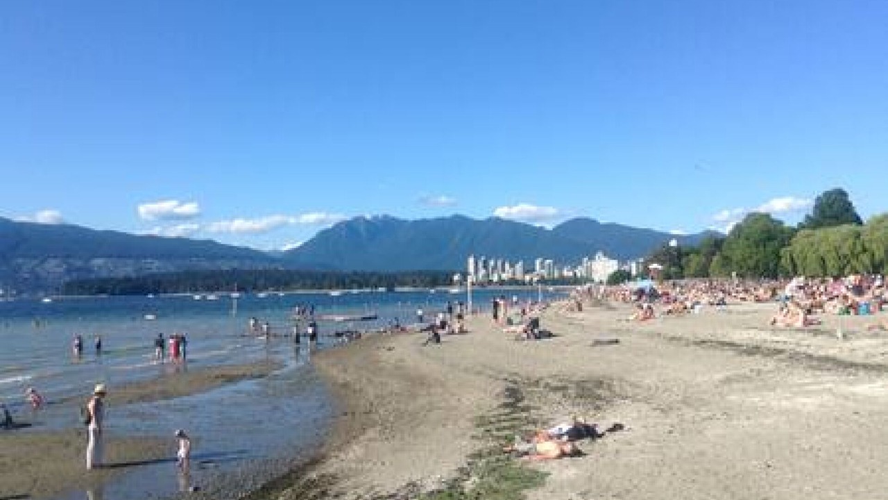 Photo of Others in Kitsilano