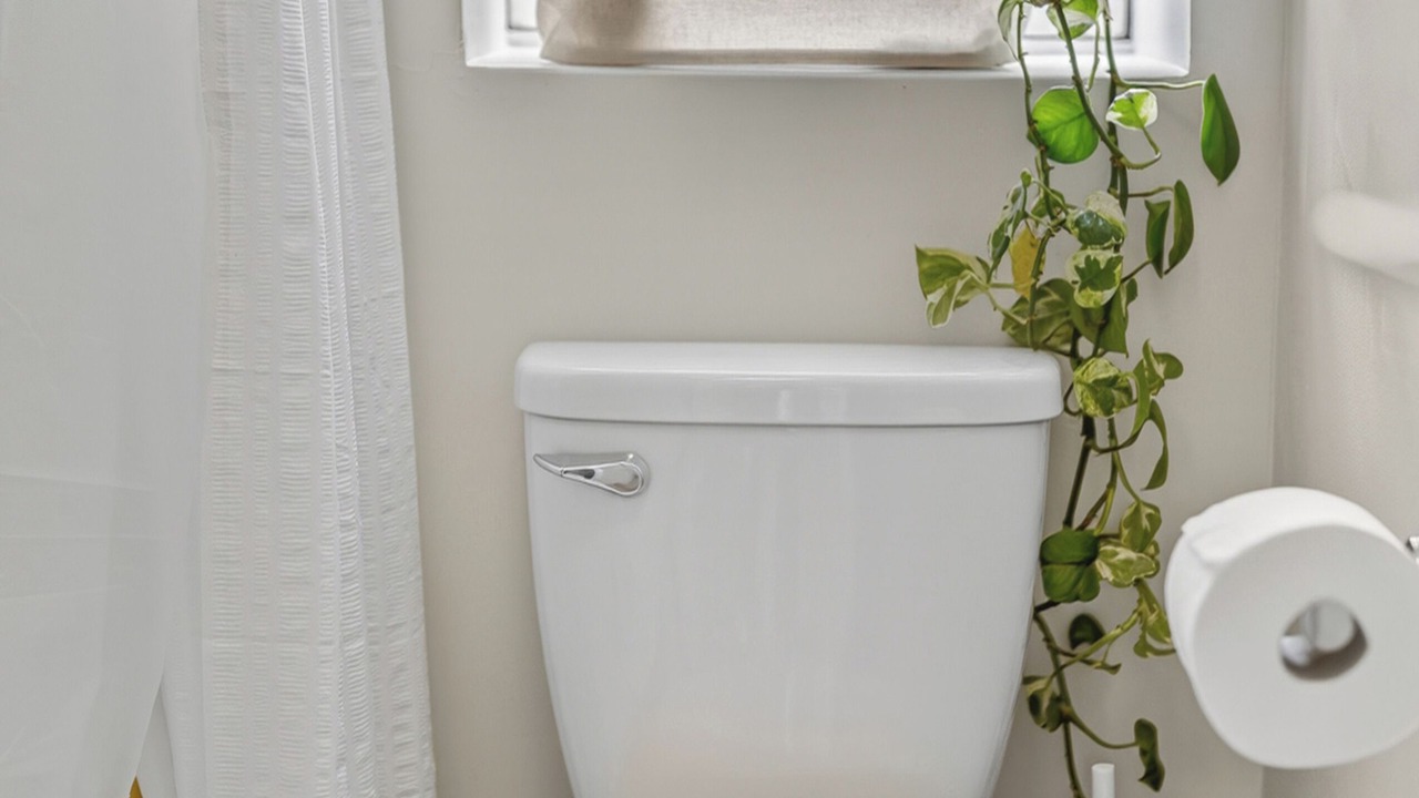 Photo of Bathroom in Kitsilano