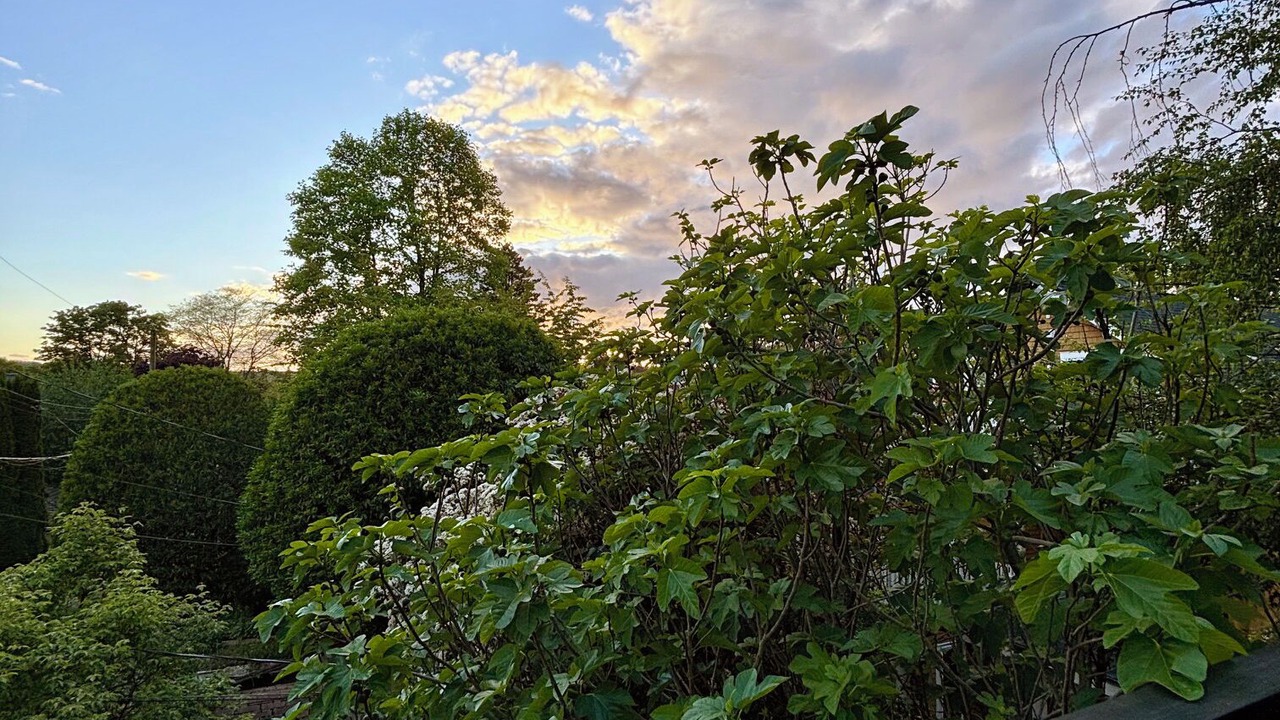 Photo of Outdoor in Kitsilano