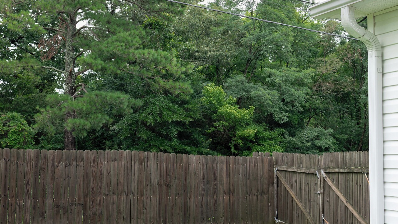 Photo of Outdoor in Adamsville