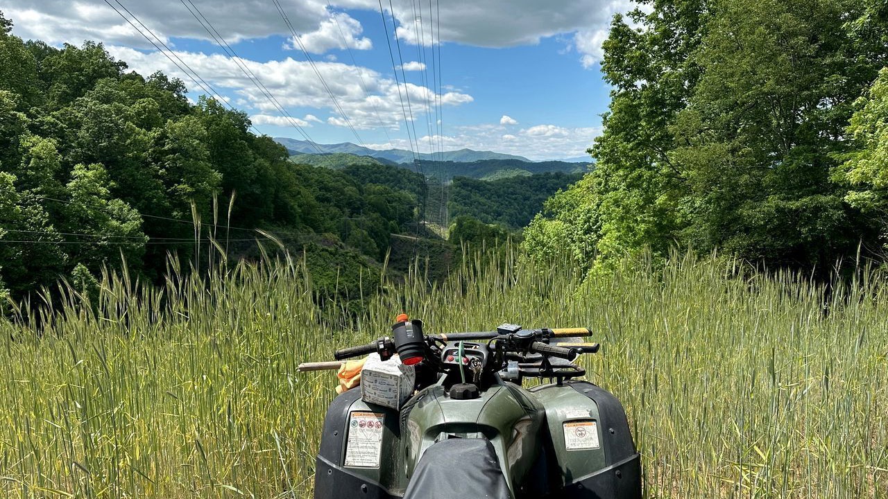 Photo of Others in Cullowhee