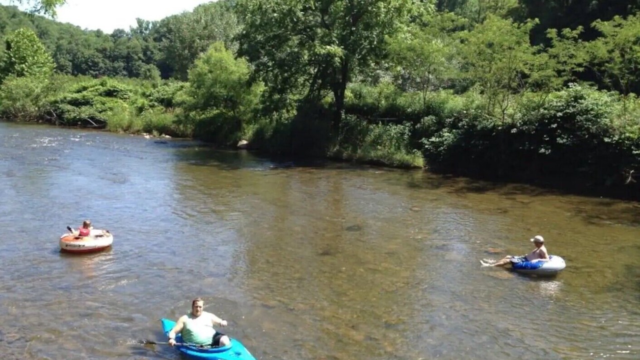 Photo of Others in Newland