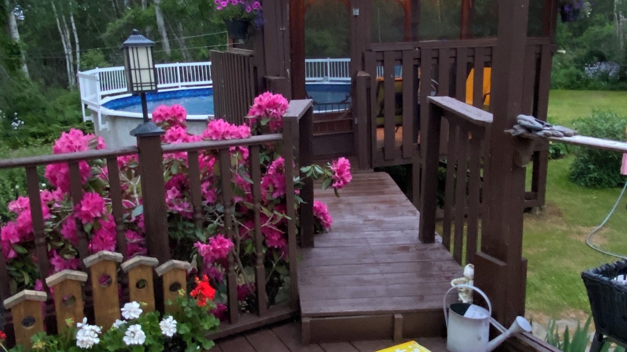 Photo of Outdoor in Cape Breton Regional Municipality