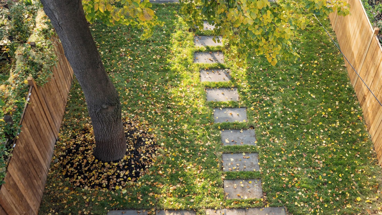 Photo of Outdoor in Parkdale