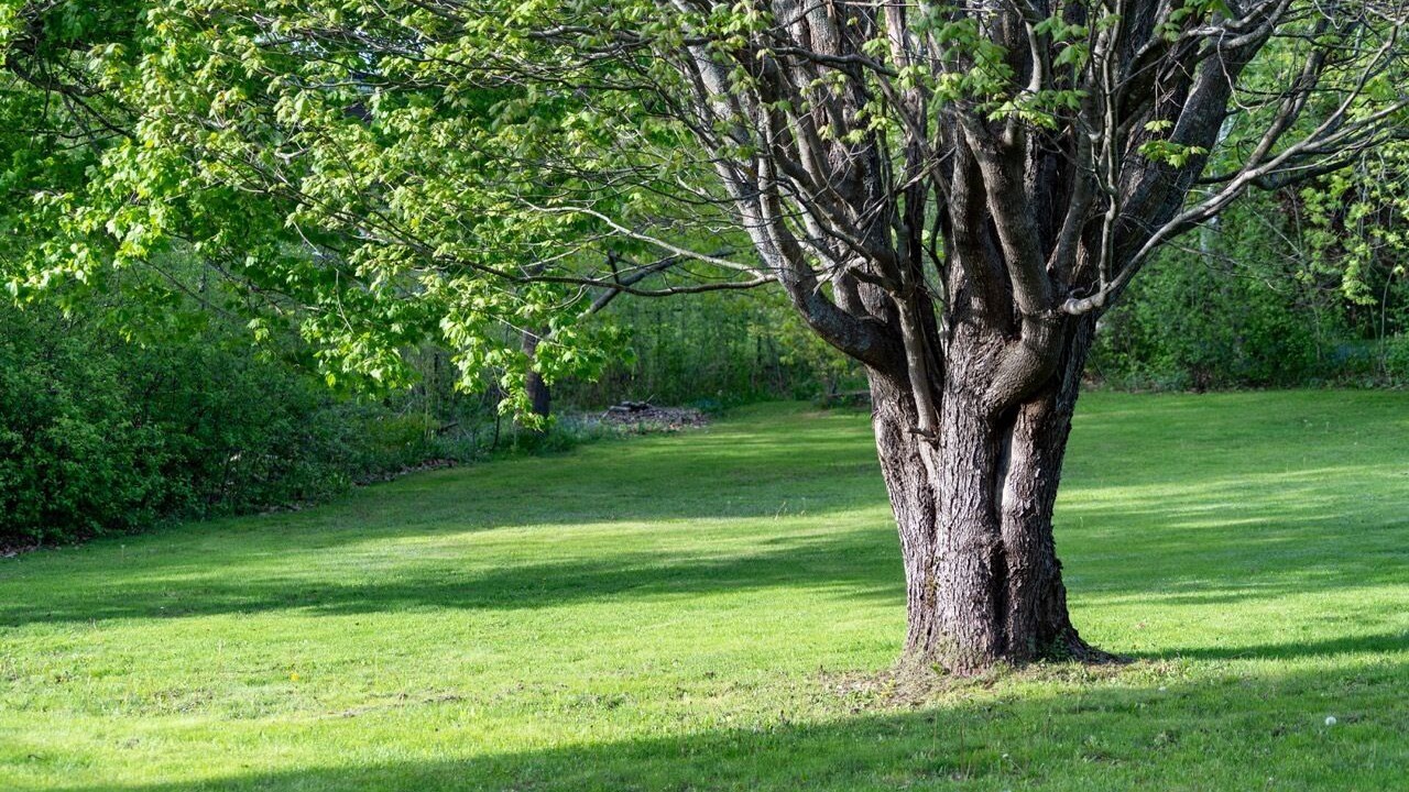 Photo of Others in Charlottetown