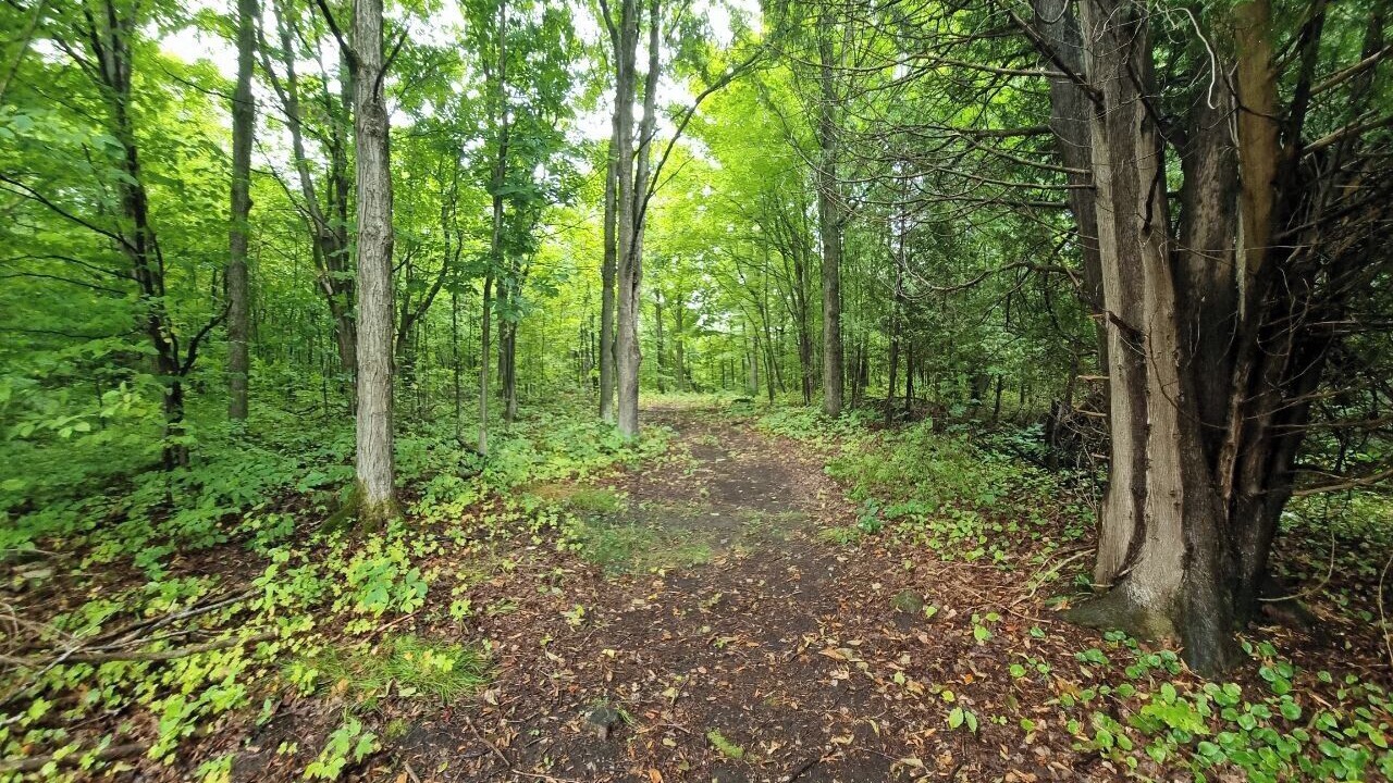 Photo of Others in North Glengarry