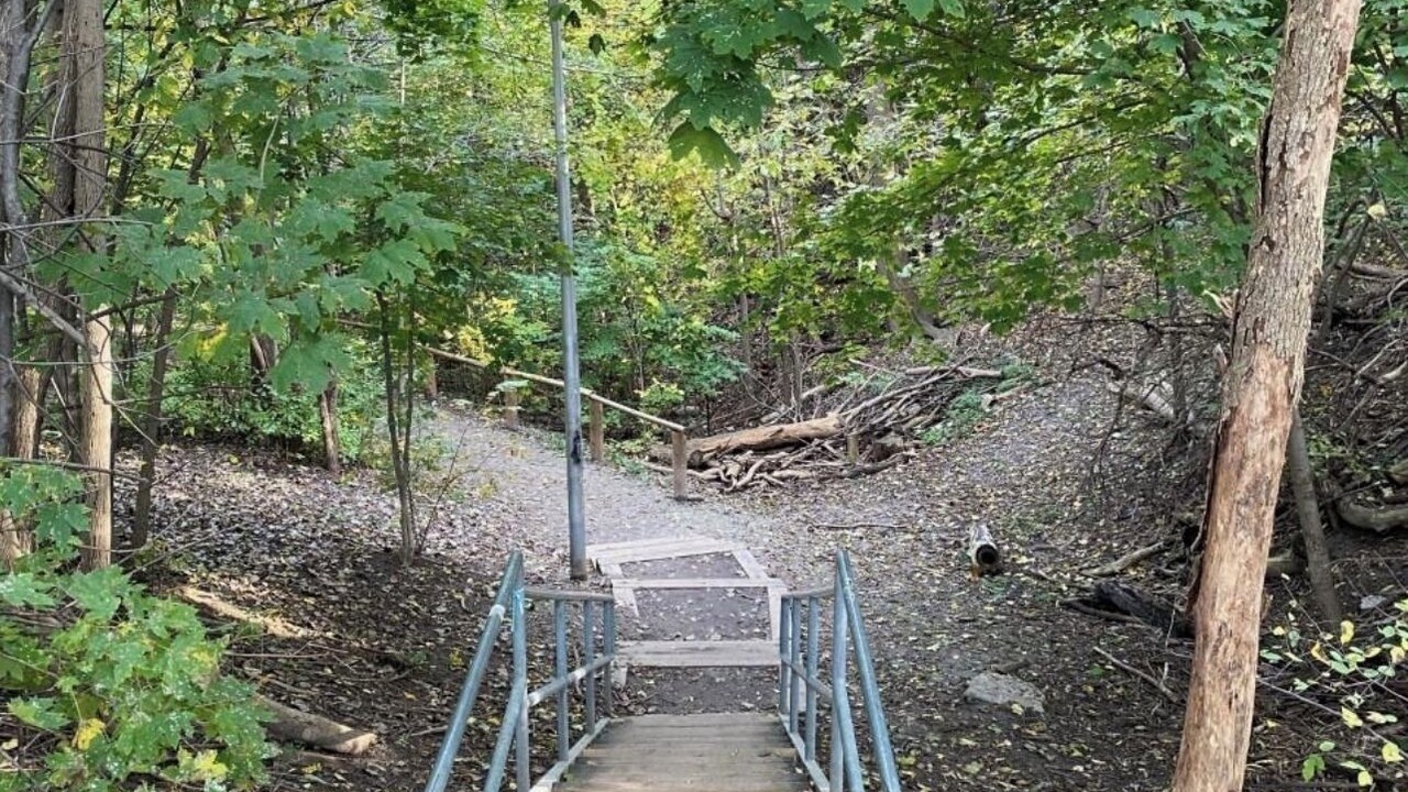 Photo of Outdoor in Deer Park