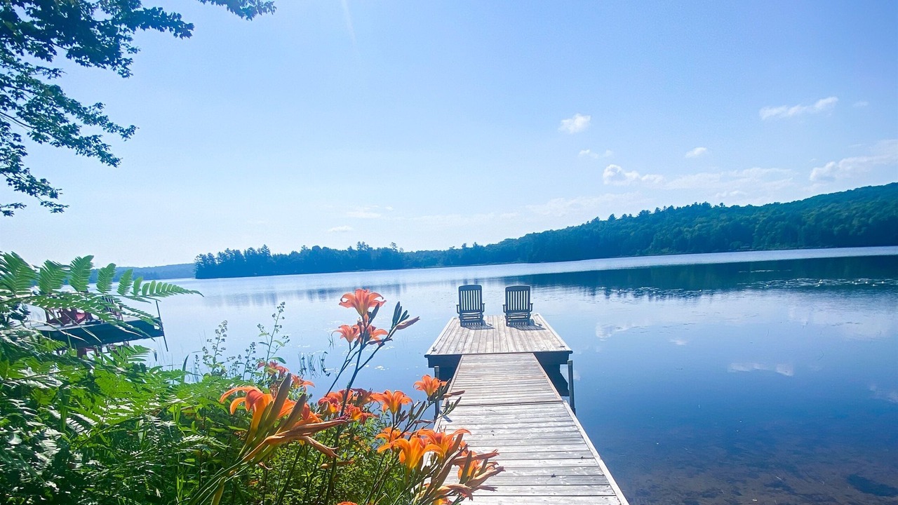 Photo of Outdoor in Baysville