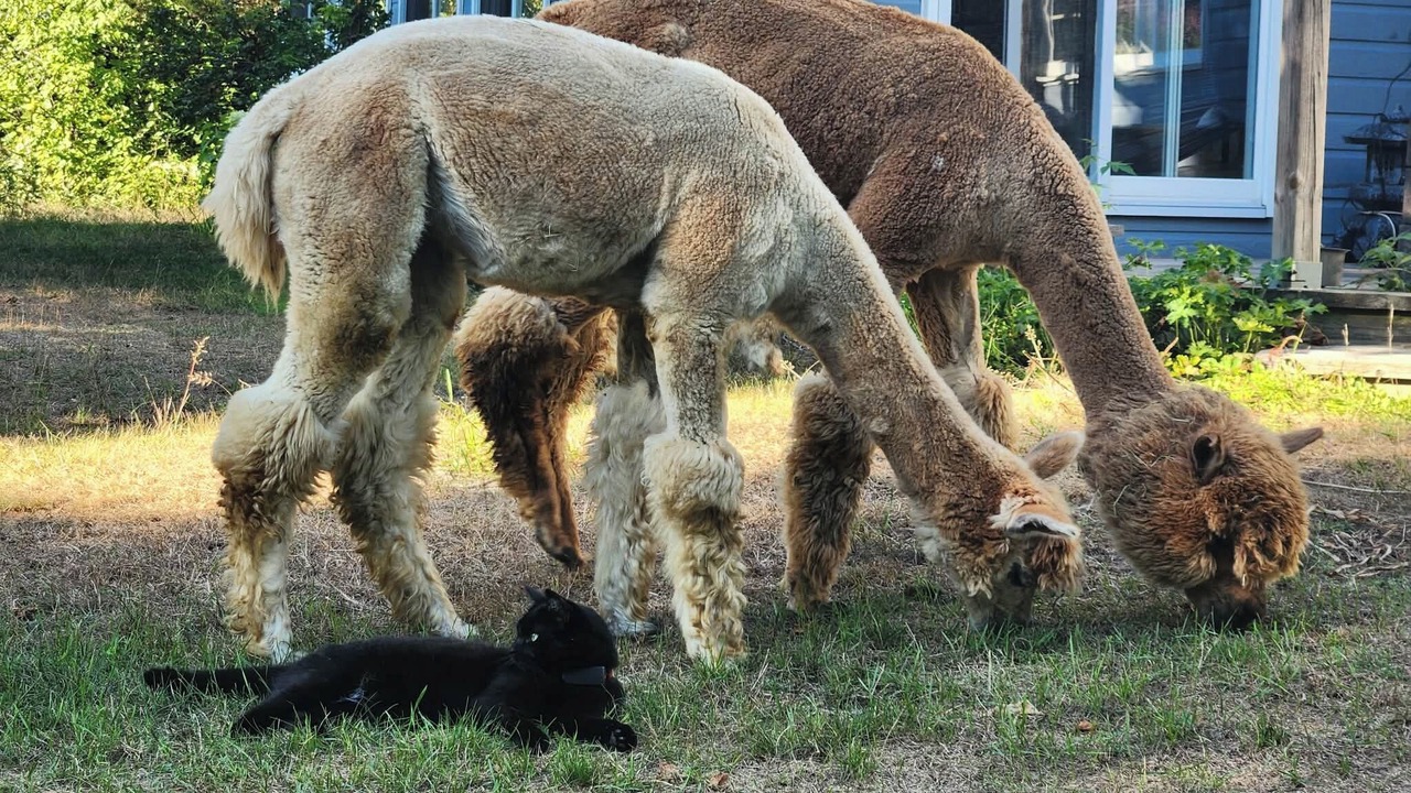 Photo of Others in Mandeville