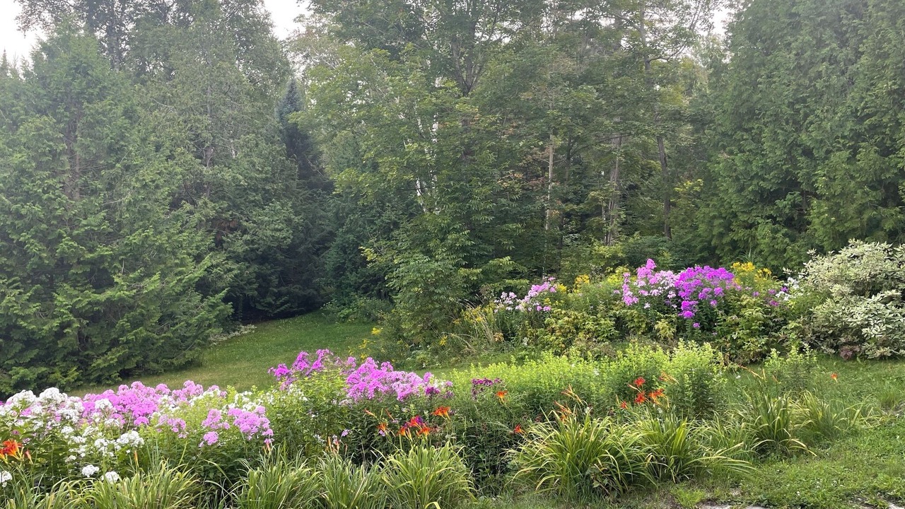 Photo of Outdoor in Saint-Aime-du-Lac-des-Iles