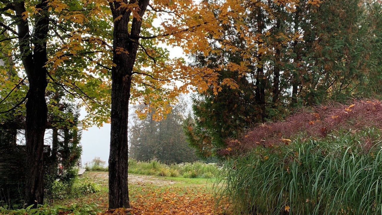 Photo of Others in Saint-Aime-du-Lac-des-Iles