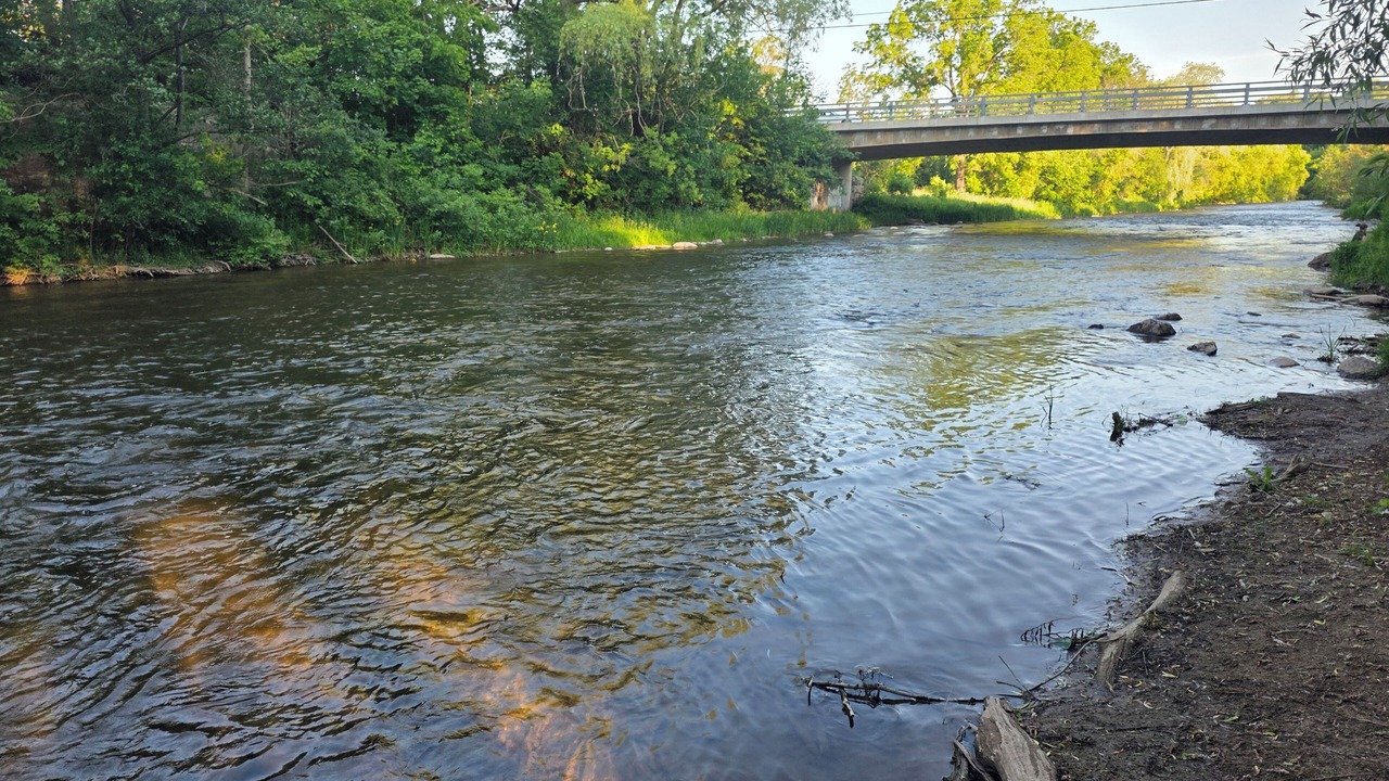 Photo of Others in Brampton