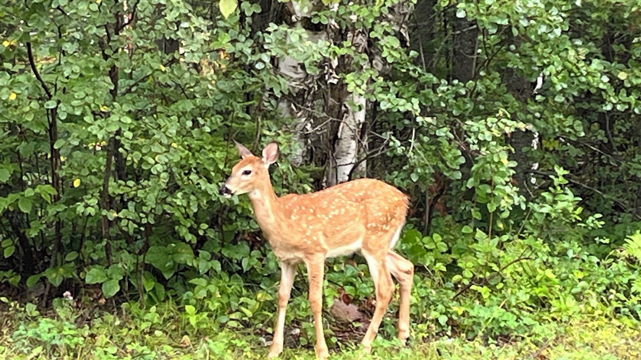 Photo of Others in Traverse Bay