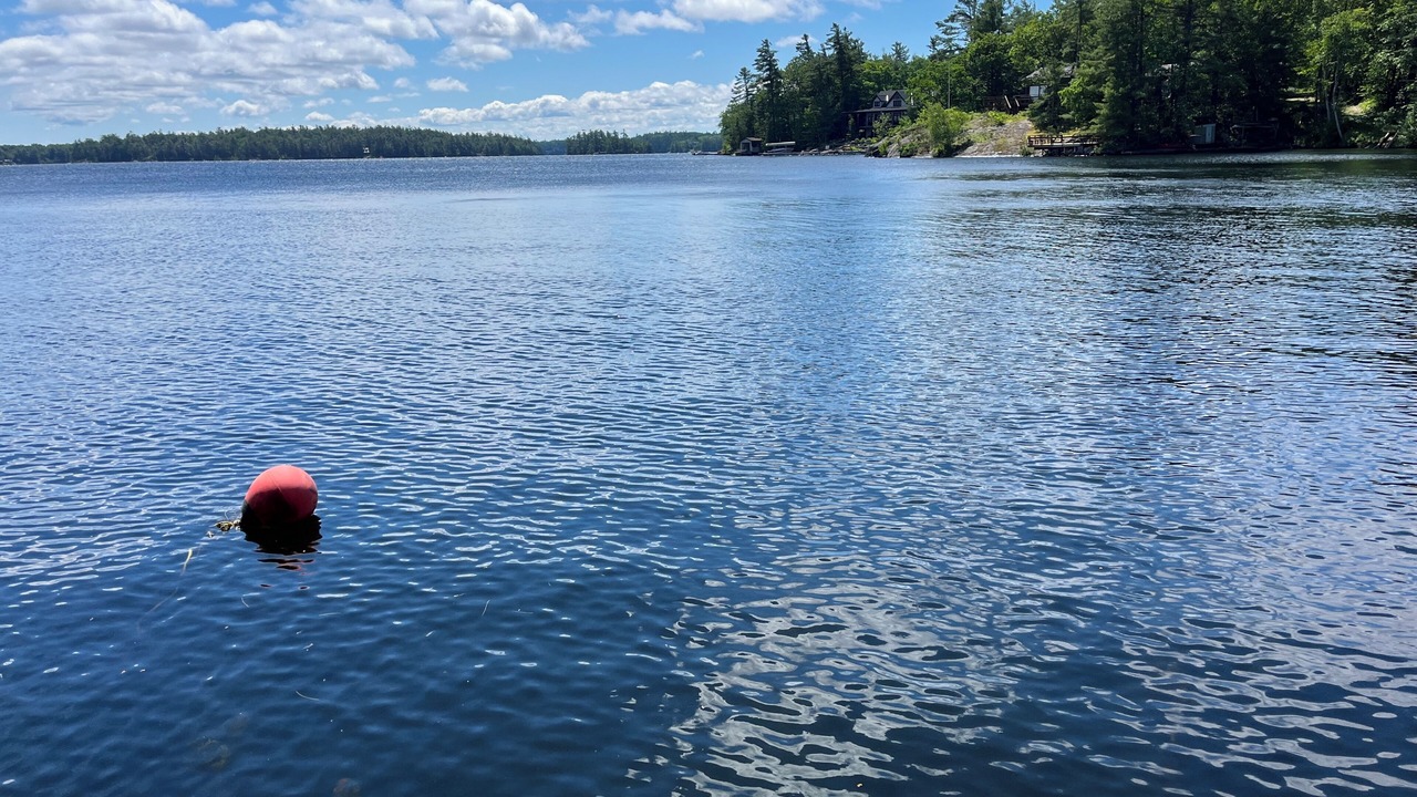 Photo of Others in Georgian Bay
