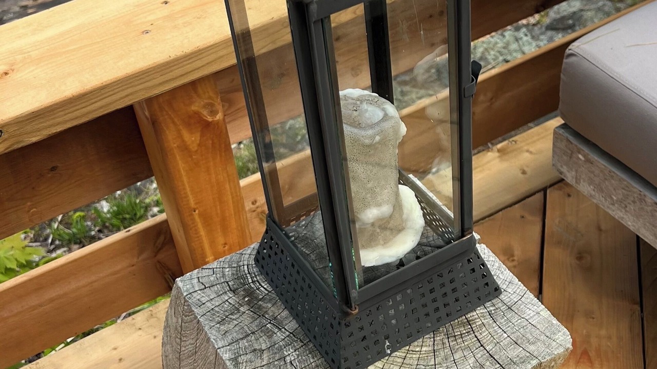Photo of Outdoor in Georgian Bay