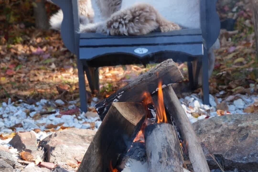 Photo of Outdoor in Lanark Highlands