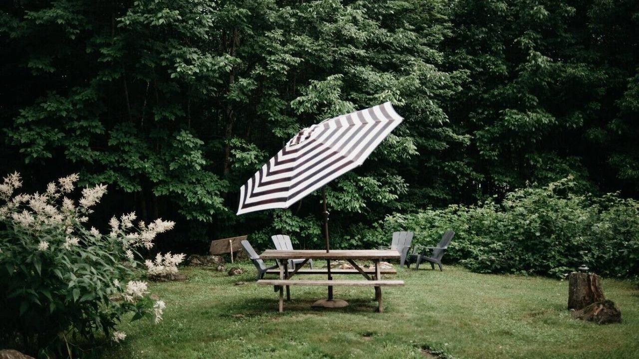 Photo of Outdoor in Dorset