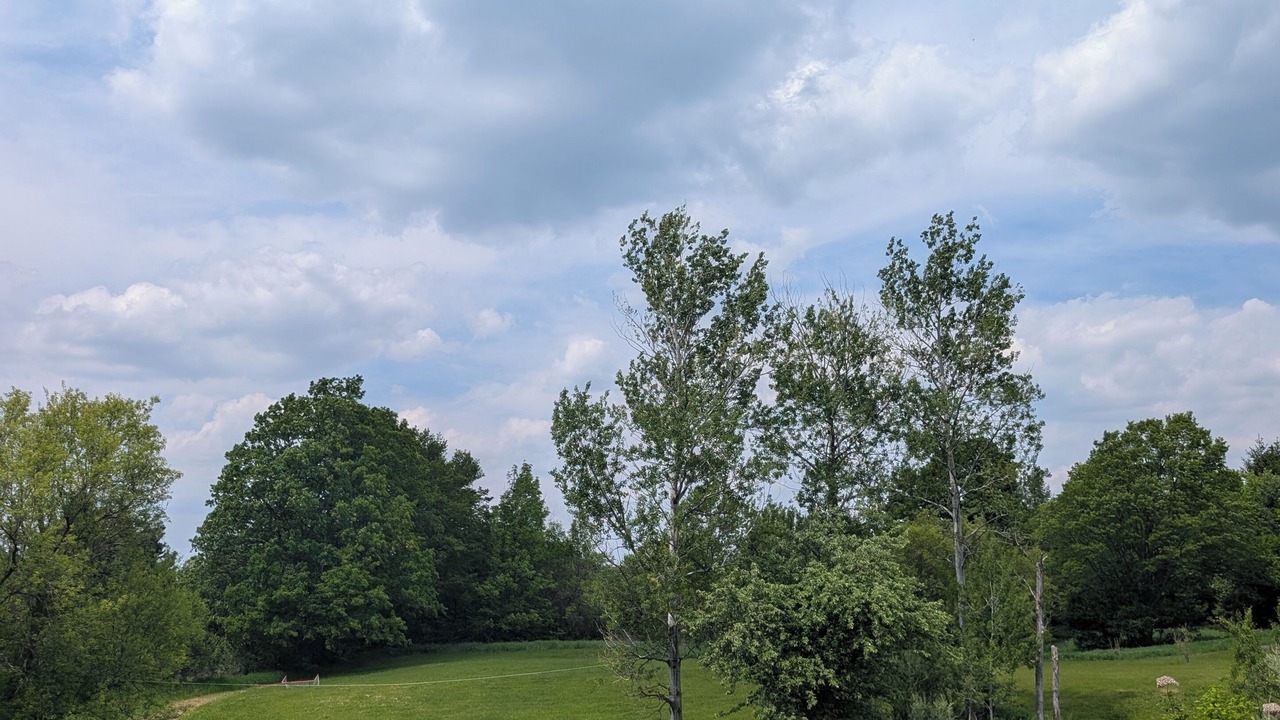 Photo of Outdoor in Mono