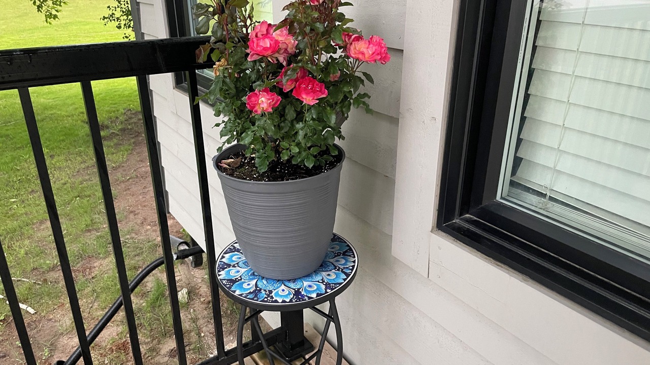 Photo of Outdoor in Midland