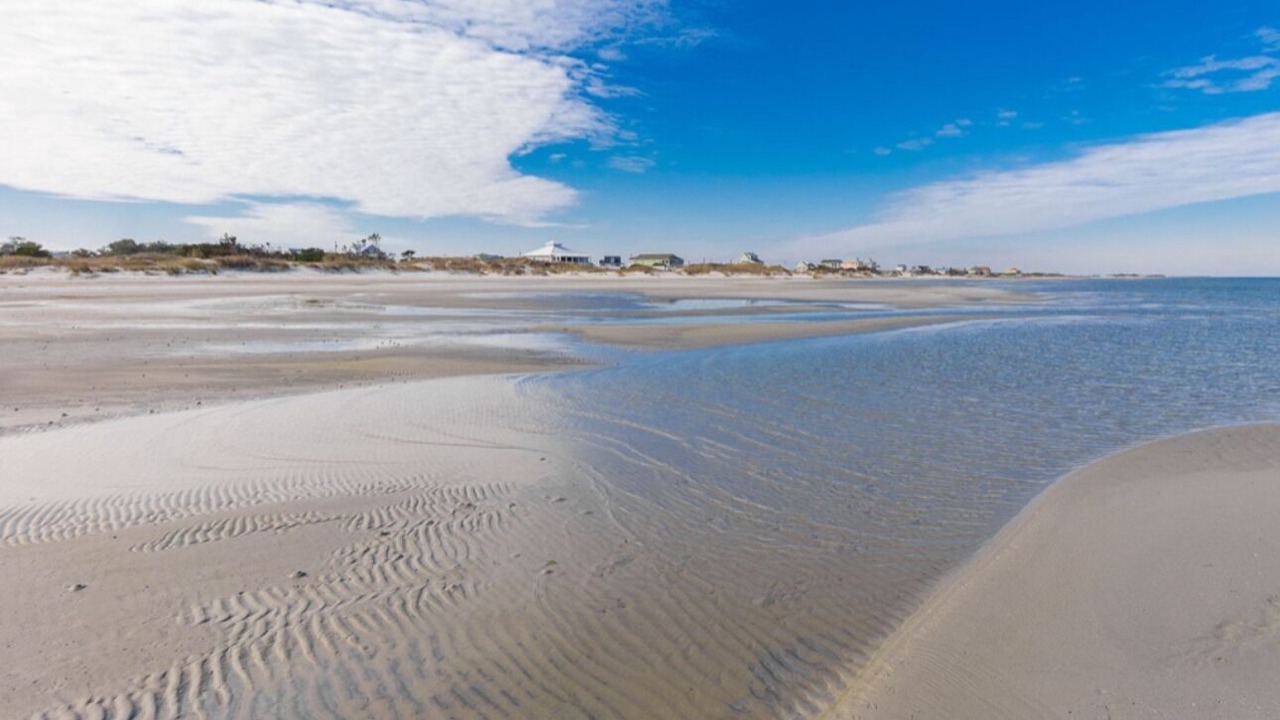Photo of Others in Cedar Island