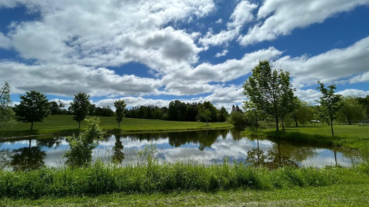 Photo of Others in Milton