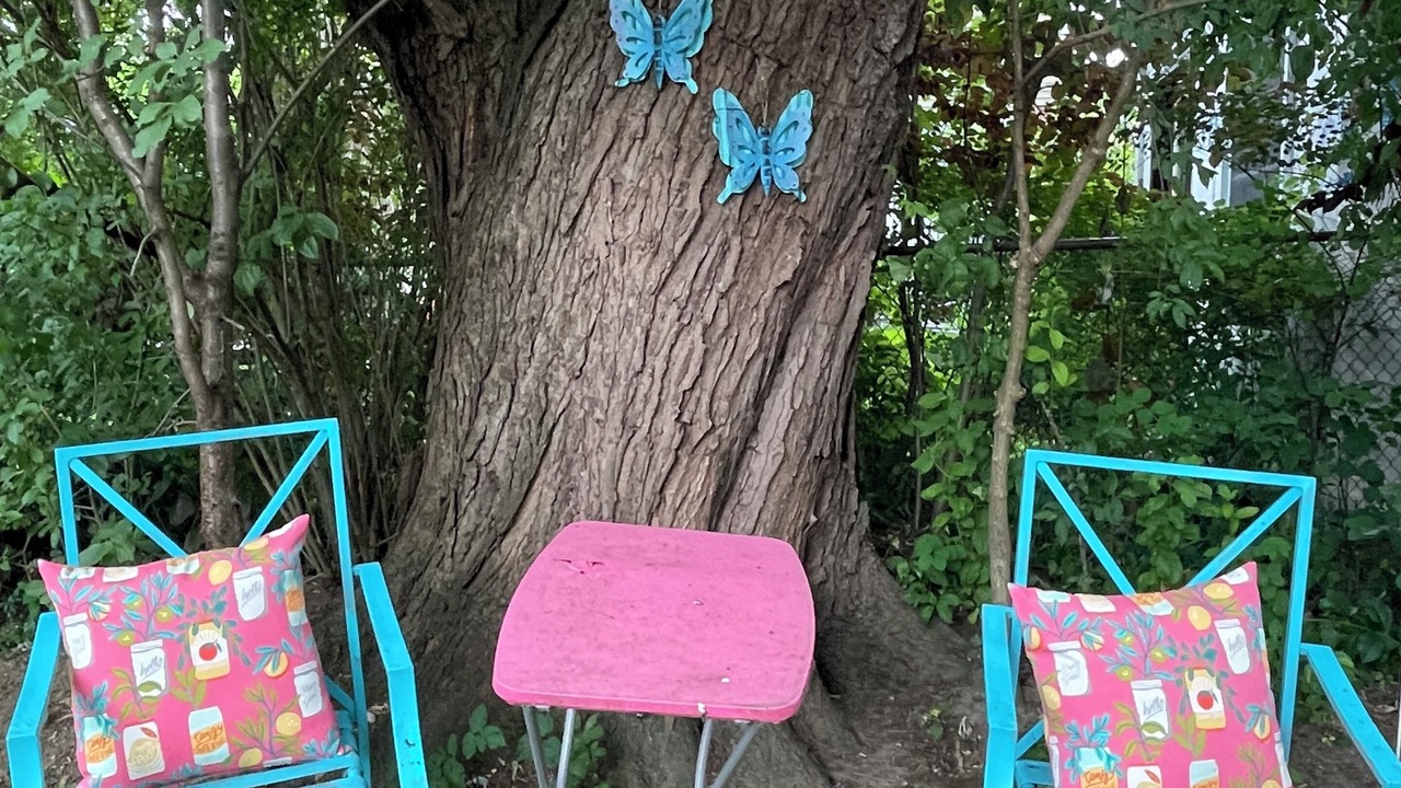 Photo of Outdoor in Willowdale