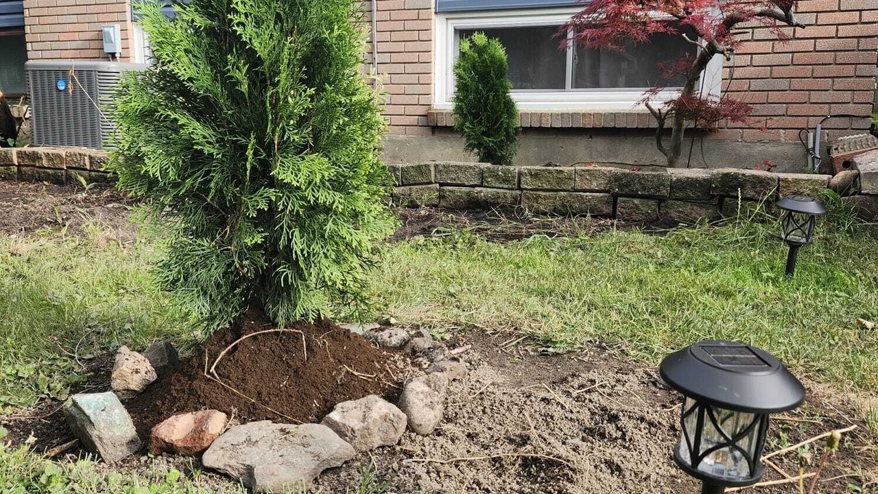 Photo of Outdoor in Sarnia