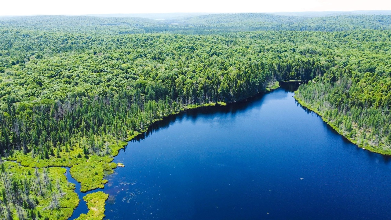 Photo of Outdoor in Madawaska