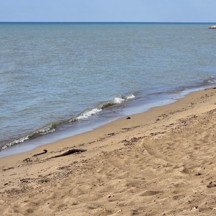 Photo of Others in Lambton Shores