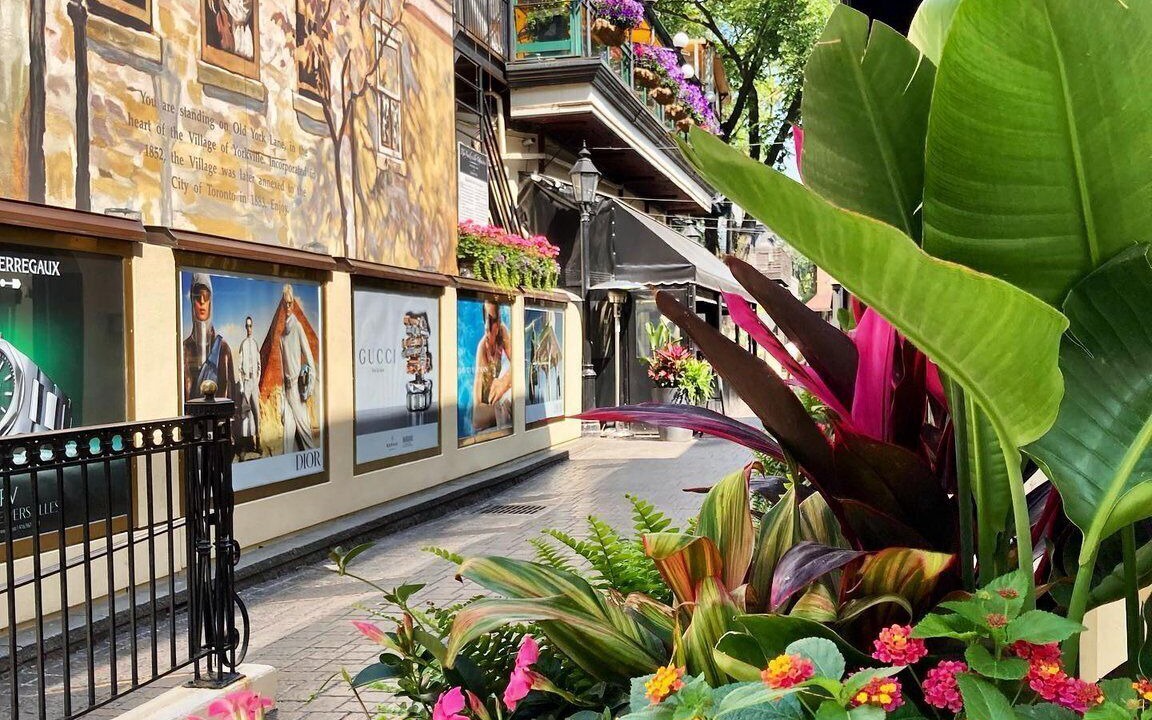 Photo of Outdoor in Midtown Toronto
