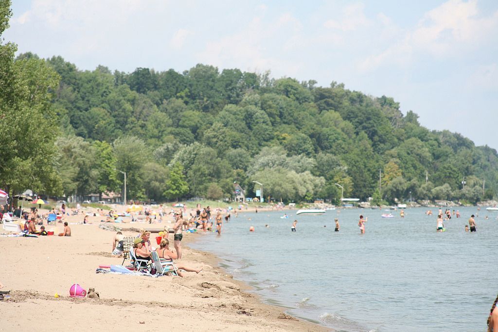 Photo of Others in Turkey Point