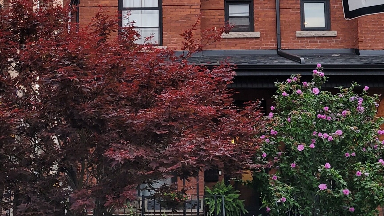 Photo of Outdoor in Trinity - Bellwoods
