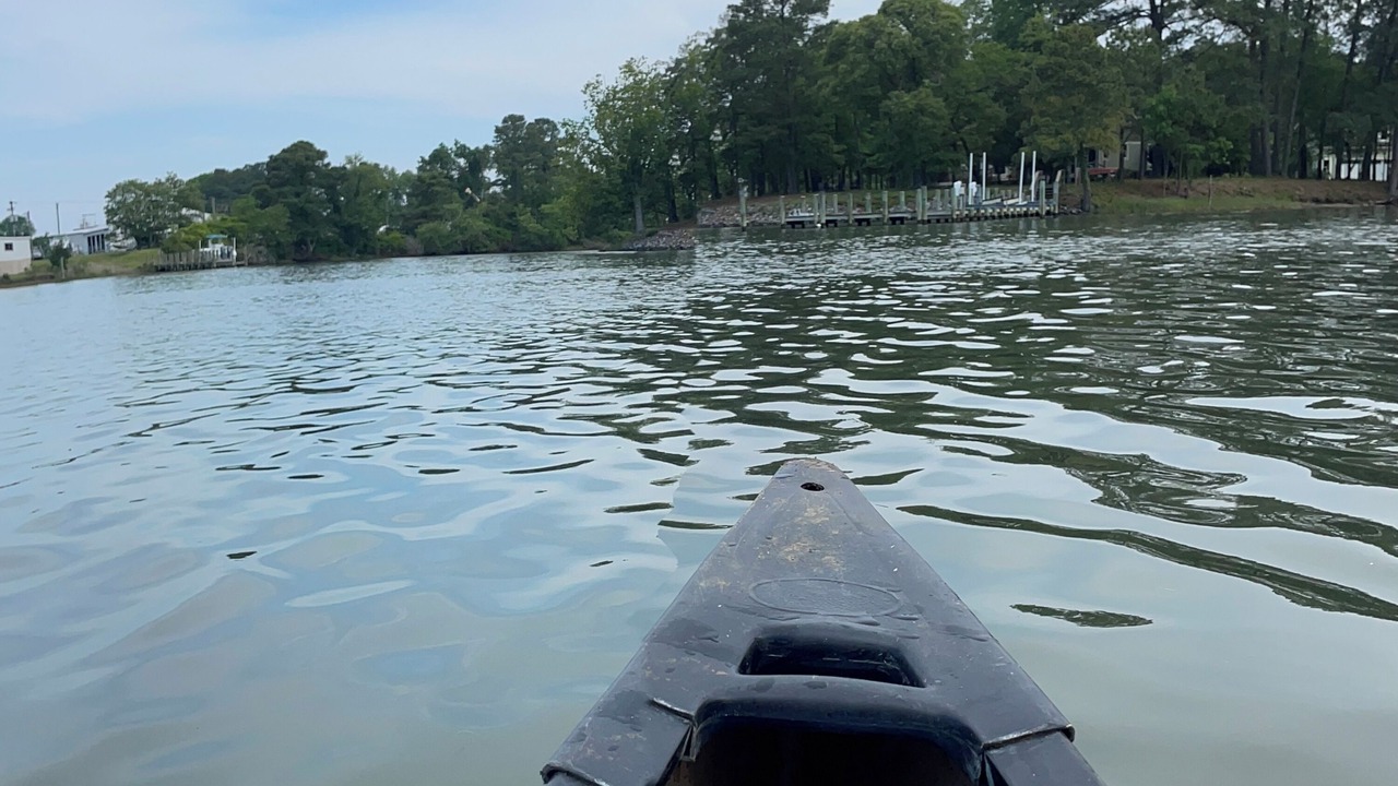 Photo of Others in Reedville