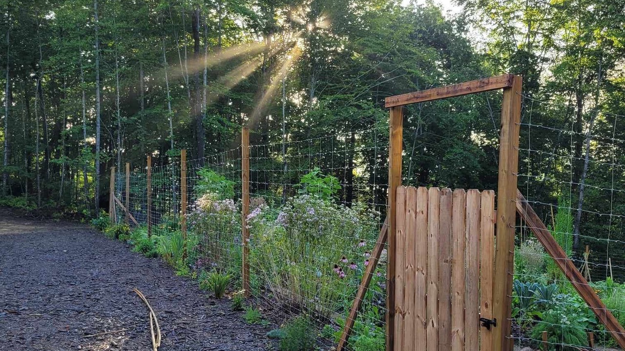 Photo of Outdoor in Brevard
