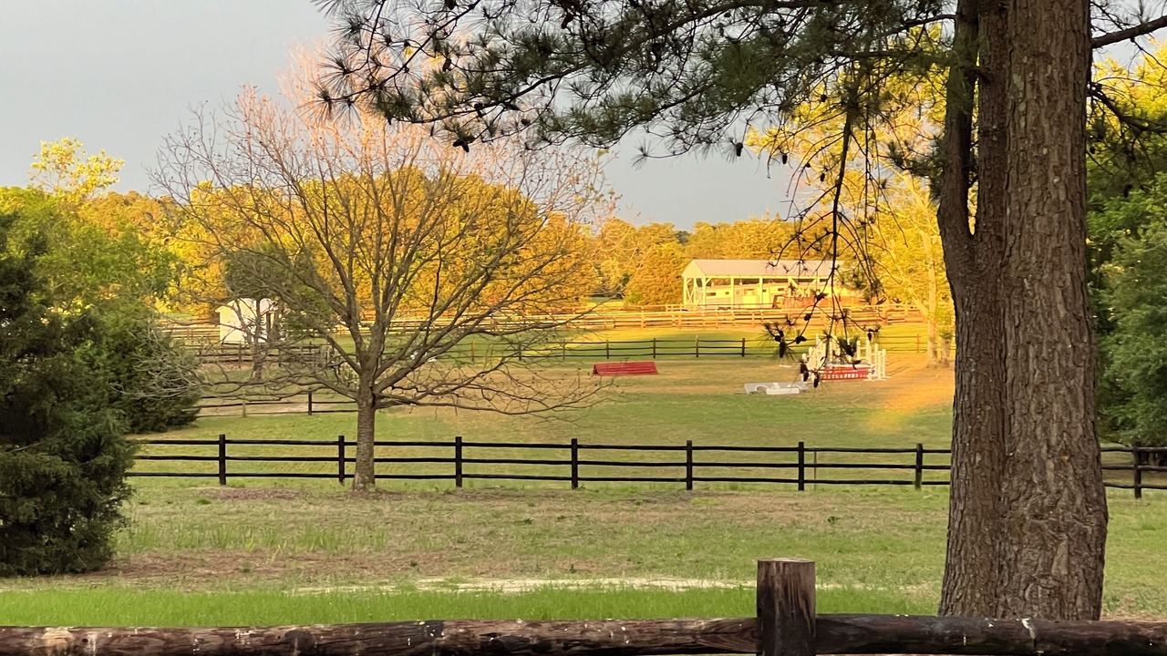 Photo of Outdoor in Lemon Springs