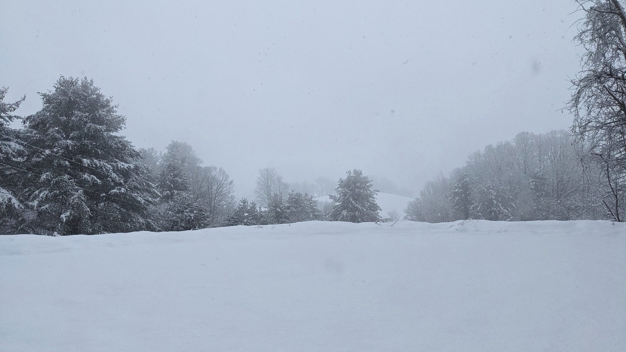 Photo of Others in Mountain City