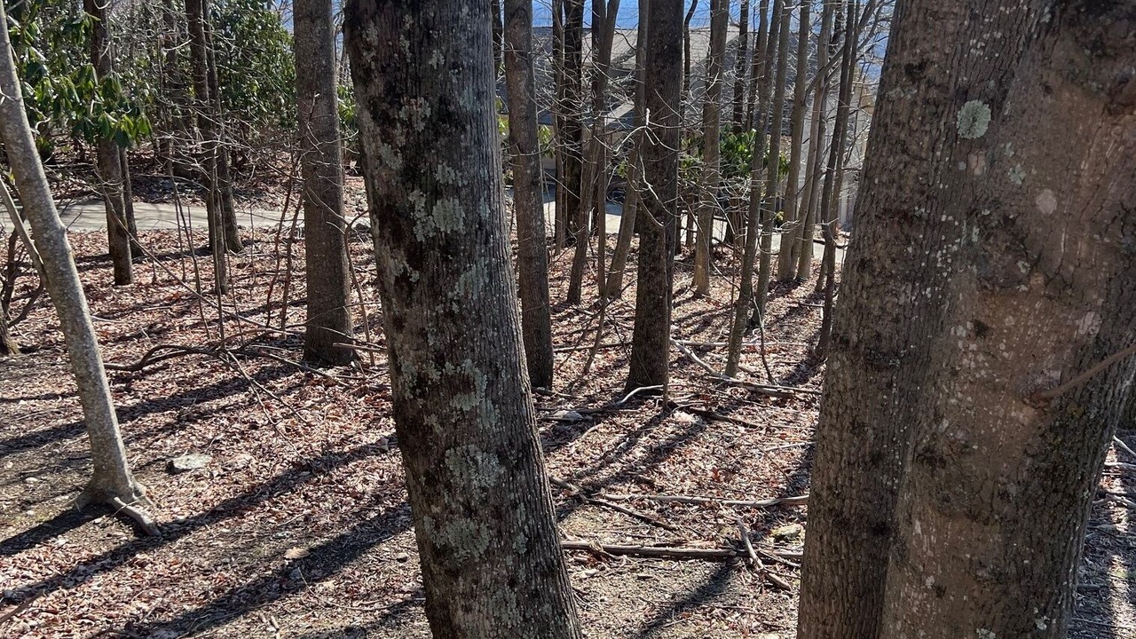 Photo of Outdoor in Fancy Gap