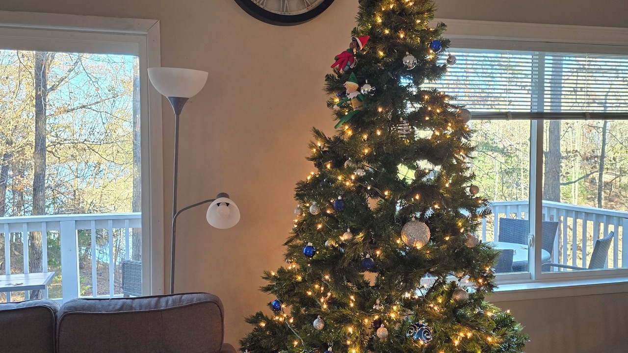 Photo of Livingroom in Merifield Acres