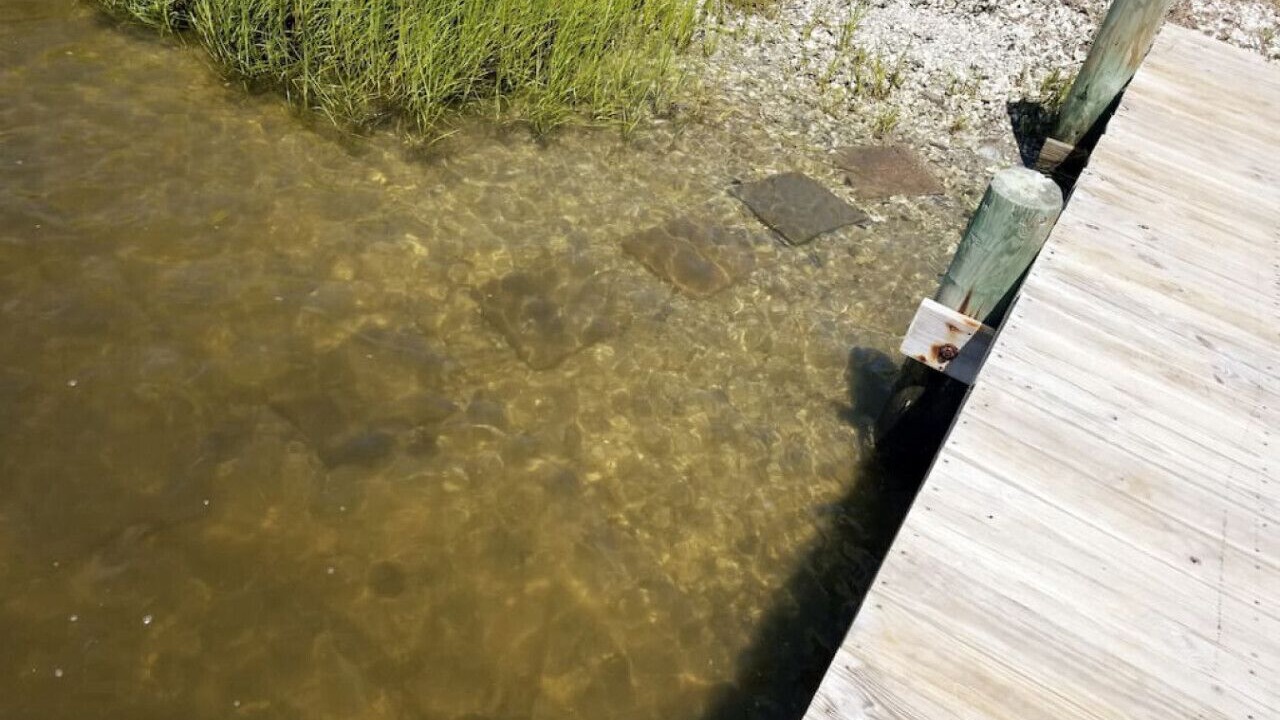 Photo of Others in Cedar Point