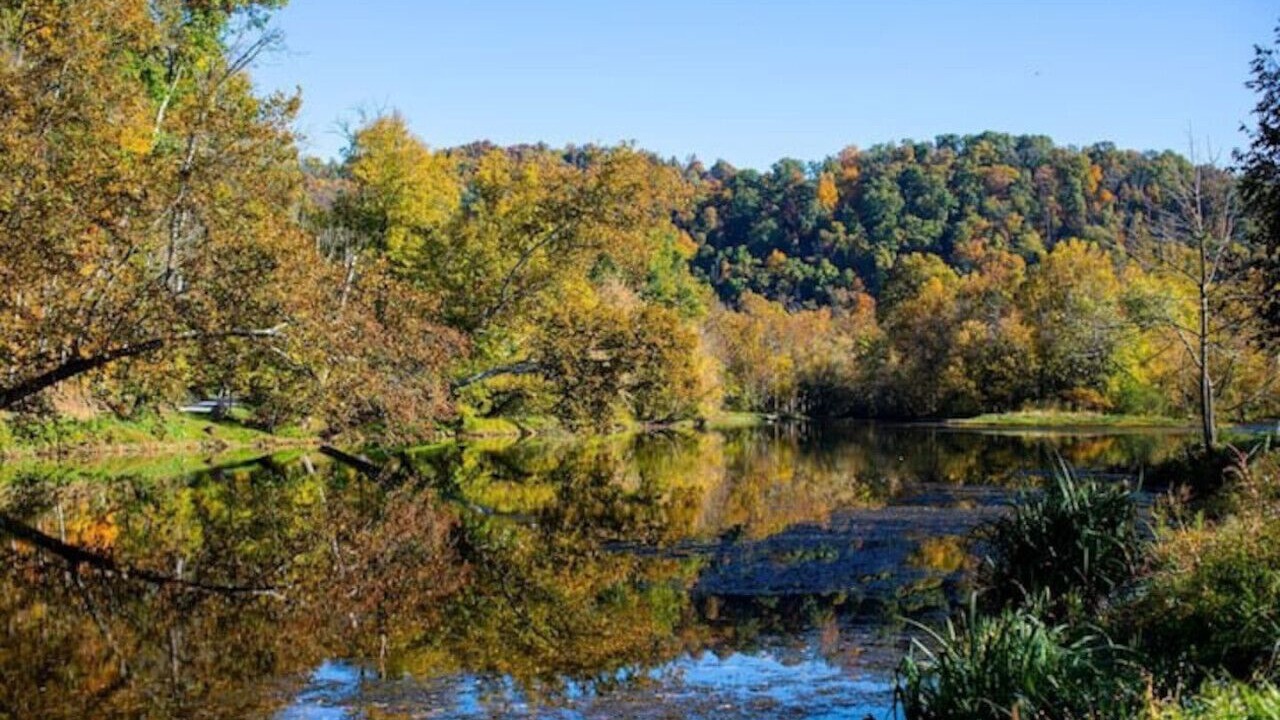 Photo of Others in Johnson City