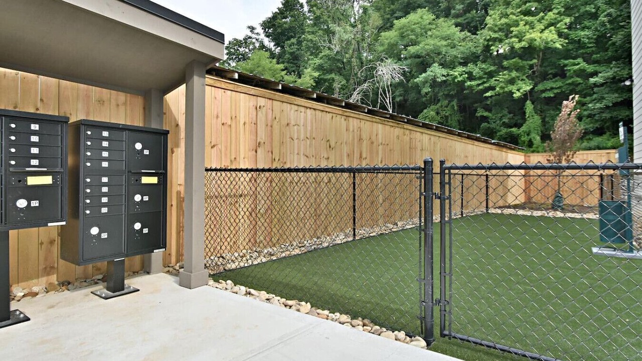 Photo of Outdoor in Knoxville